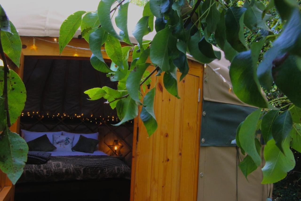 Hotel Stamford Meadows Glamping Exterior foto