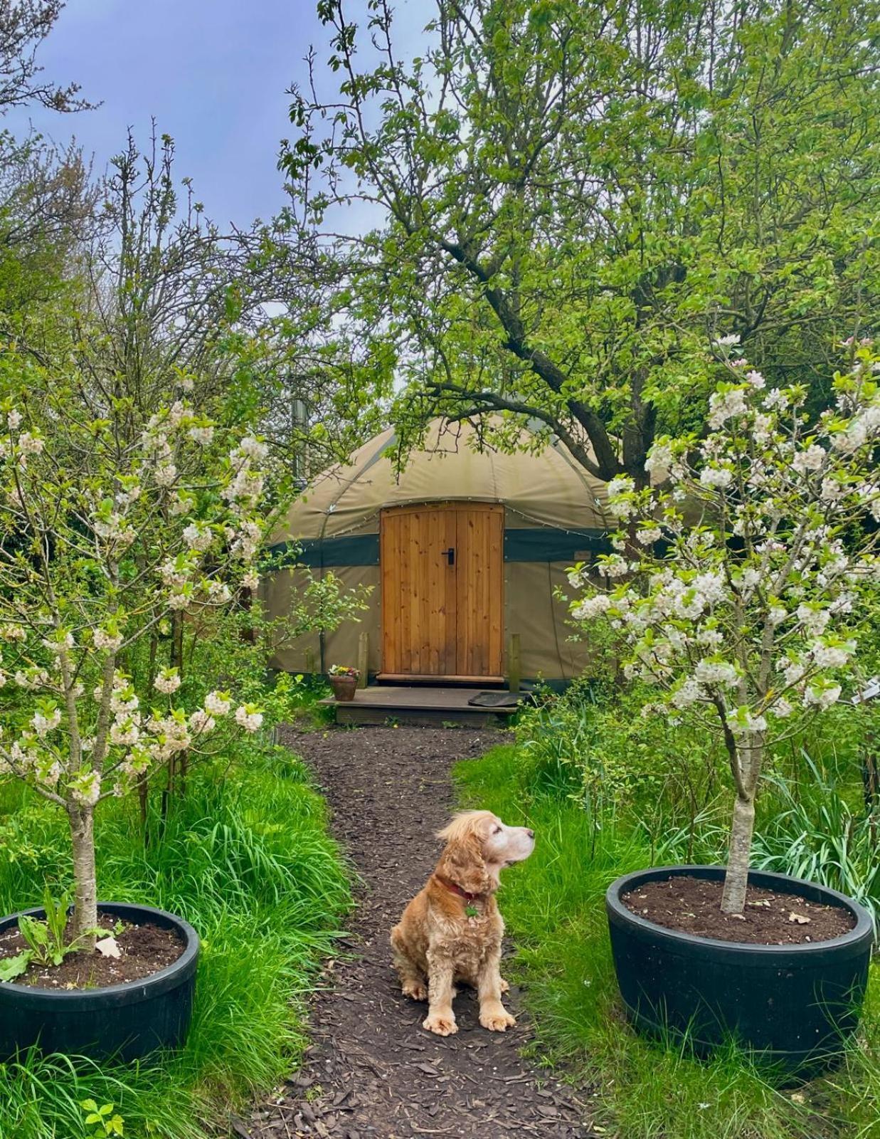 Hotel Stamford Meadows Glamping Exterior foto